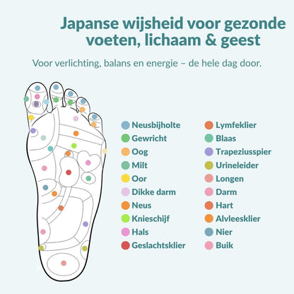 PowerZool™ | Voel je lichter, energieker en comfortabeler bij elke stap! NU MET 50% korting